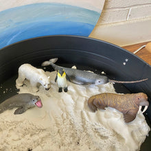 Load image into Gallery viewer, CollectA Polar Animals Set