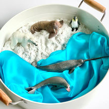 Load image into Gallery viewer, CollectA Polar Animals Set