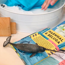 Load image into Gallery viewer, CollectA Polar Animals Set