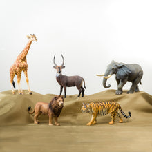 Load image into Gallery viewer, CollectA Wildlife Animals Set