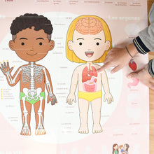 Load image into Gallery viewer, Poppik Giant Sticker Poster - Human Body