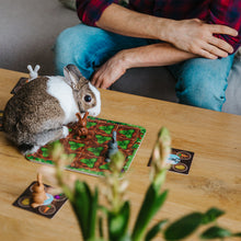 Load image into Gallery viewer, Smart Games Grabbit (Ages 4+)