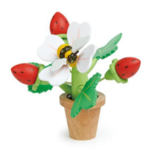 Load image into Gallery viewer, The Wonder Box #1: Bloom & Grow