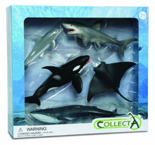 Load image into Gallery viewer, CollectA Sea Animals Set